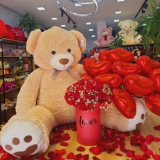 Kit Rom�ntico Premium: Rosas, Pel�cia e Bal�es