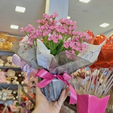 Kalanch�e Cor de Rosa