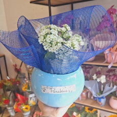 Mini Kalanch�e Decorada em Tela e Vaso de Vidro 