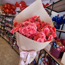 Beg�nia Rosa No Craft