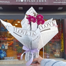 Mini Orqu�dea Roxa 