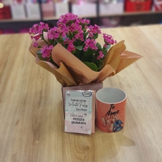 Kit Com Kalanch�e Rosa 